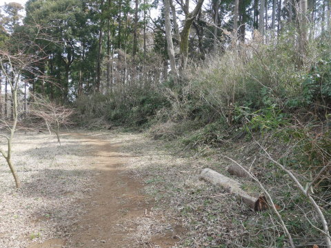 新参加の団塊Jr.が刈り払い機に挑戦3・10六国見山手入れ_c0014967_10202099.jpg