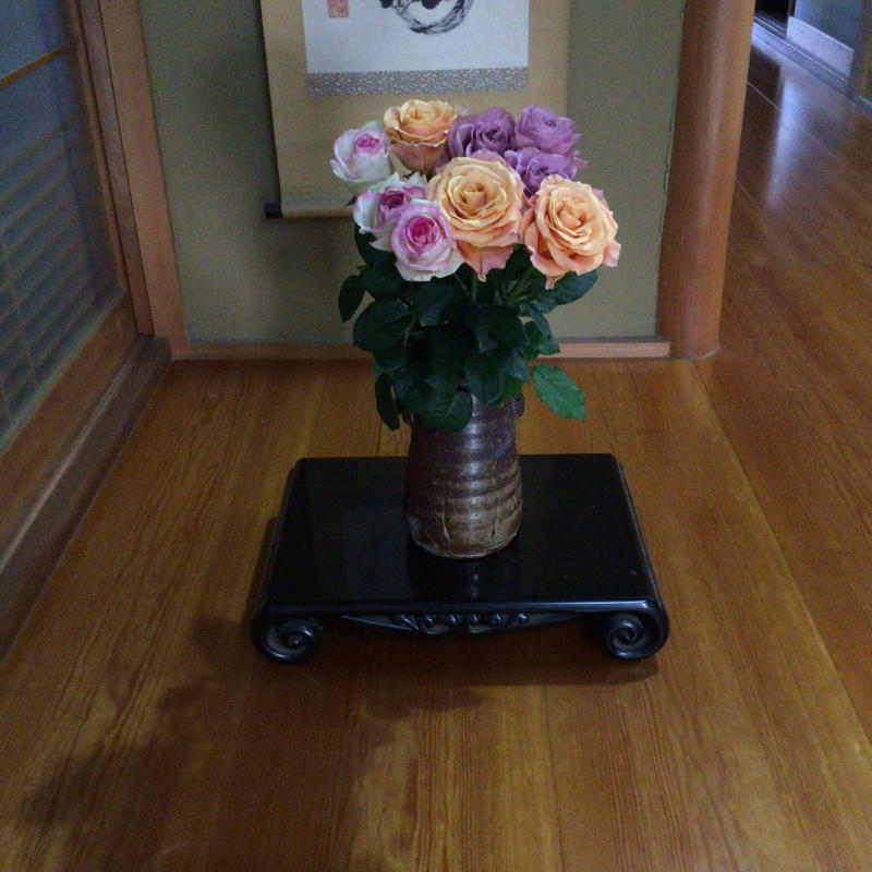 切りバラのその後とバラの芽 ビオラの花摘み後 バラやらナンやら