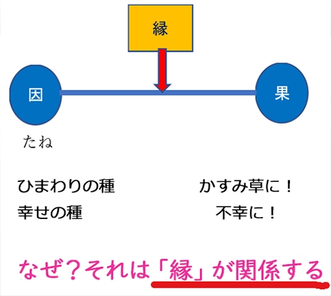 因果の間にある”ご縁”の法則を理解すると、今の周波数で体験する未来が変わることがわかる_d0169072_18512076.jpg