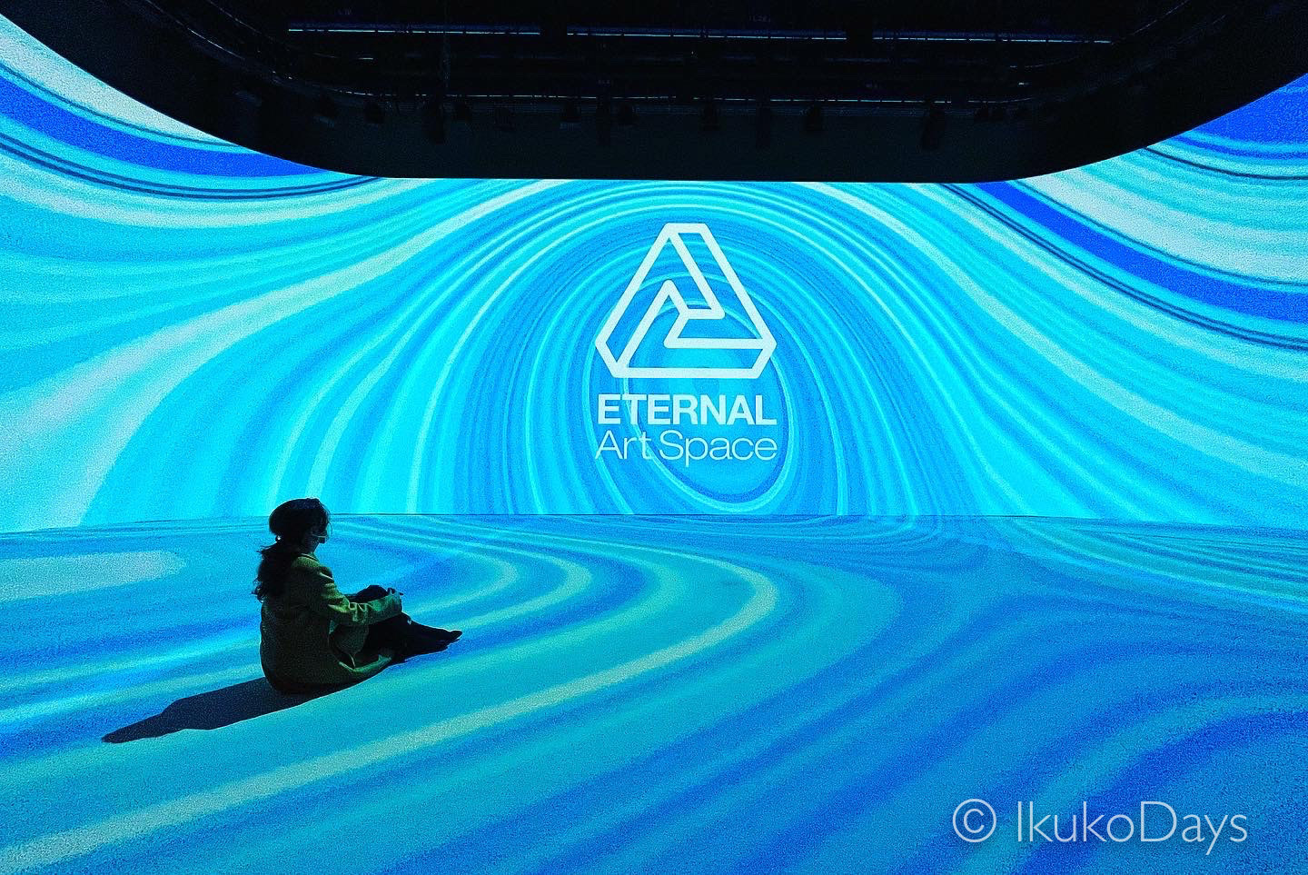 新感覚のアート体験型イベント MUTEK.JP『ETERNAL Art Space』_d0114093_23265950.jpg