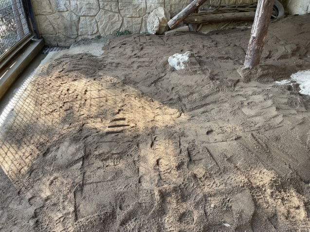 高齢動物への取り組み_c0290504_13213181.jpg