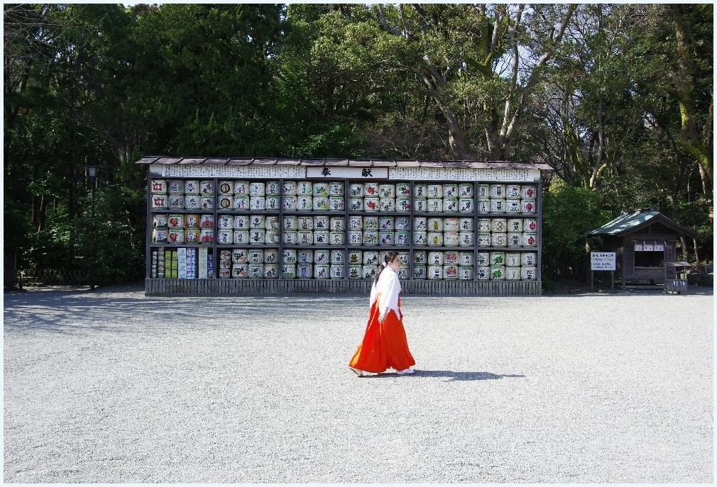 春の鎌倉・・・_c0352813_11010889.jpg