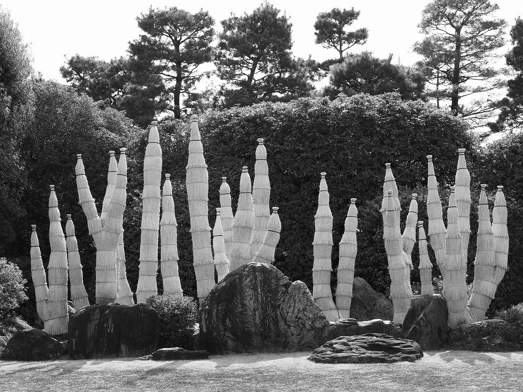 久々のMONOCHROME_e0374932_07001572.jpg