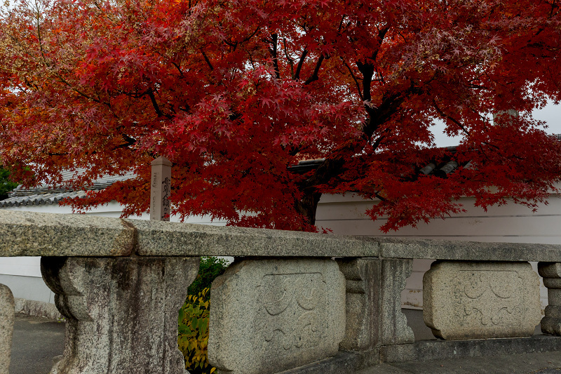 2021紅葉輝く京都　妙顕寺秋景_f0155048_19522086.jpg