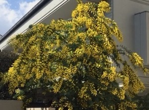 2022年 3月の作業_a0094959_15362440.jpeg
