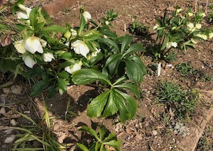 2022年 3月の作業_a0094959_15401011.jpeg