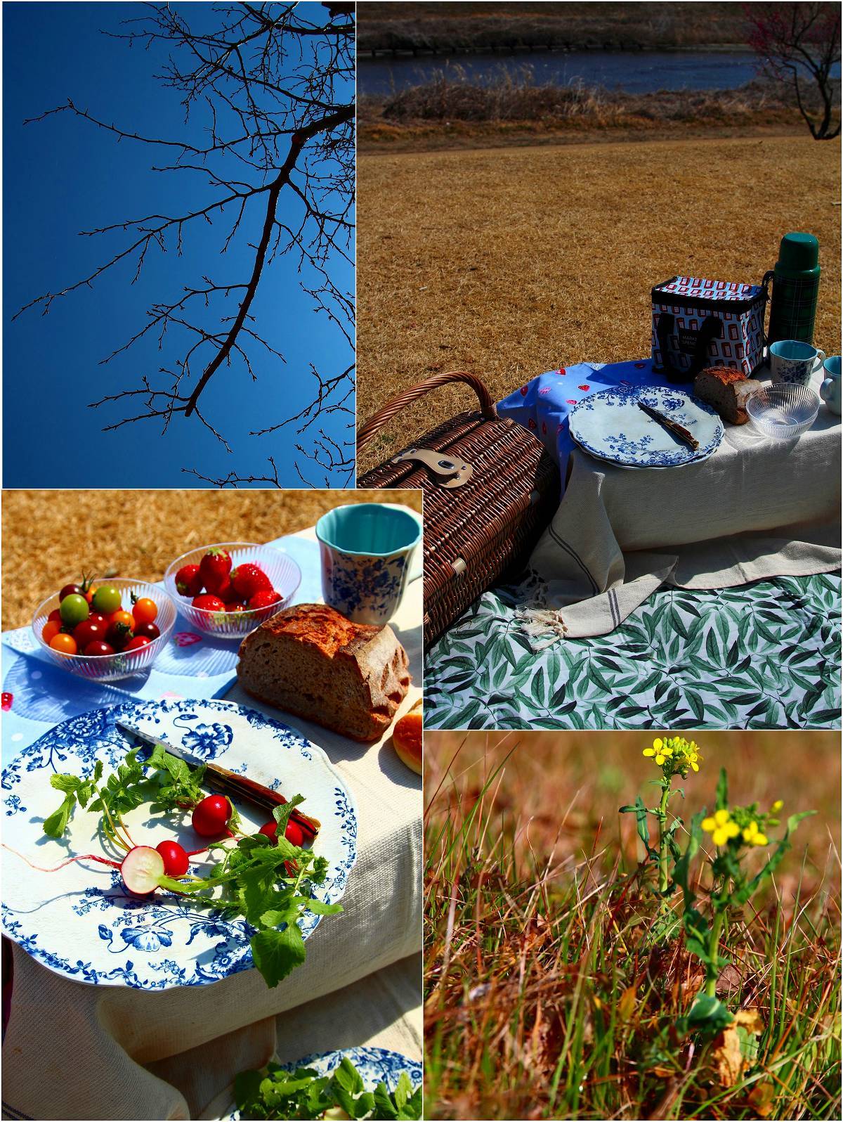 Spring has come!_a0107981_14132466.jpg