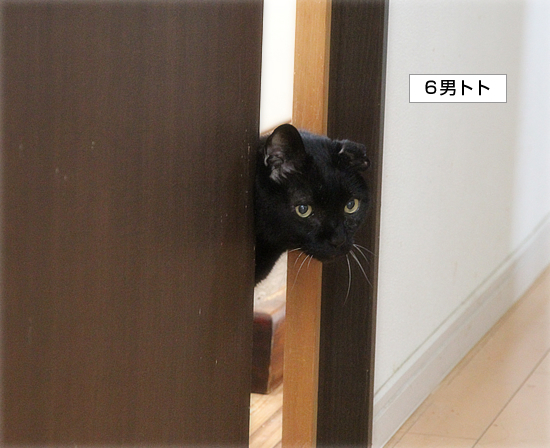 まさかの反応_a0389088_17572410.jpg