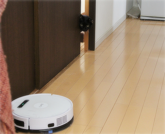 まさかの反応_a0389088_17572482.jpg