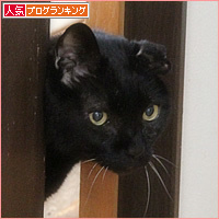 まさかの反応_a0389088_17572532.jpg