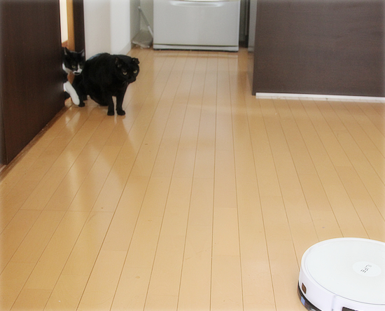 まさかの反応_a0389088_17572536.jpg