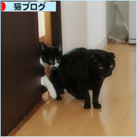 まさかの反応_a0389088_17572546.jpg