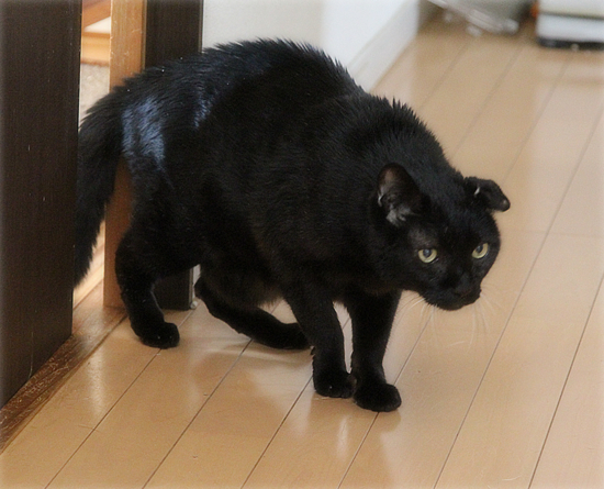 まさかの反応_a0389088_17572598.jpg