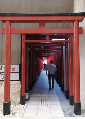 ●神社の造形―伏見龍馬通りに出来た鳥居の列_d0053294_15141403.jpg