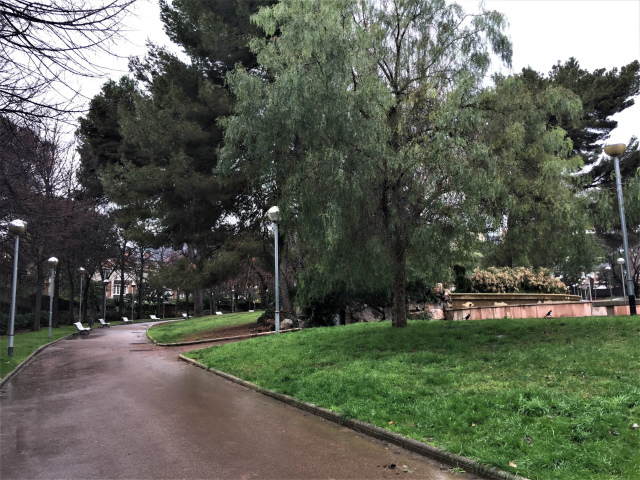雨の日 野の花を摘みに行く Gyuのバルセロナ便り Letter From Barcelona