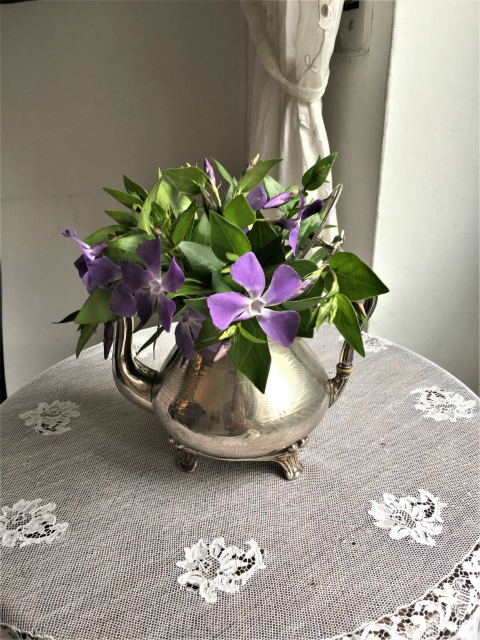 雨の日 野の花を摘みに行く Gyuのバルセロナ便り Letter From Barcelona