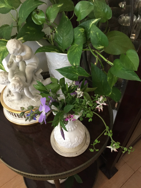 雨の日 野の花を摘みに行く Gyuのバルセロナ便り Letter From Barcelona
