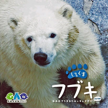 秋田県、男鹿水族館GAOのフブキ (Fubuki) に備わる体つきの「力感