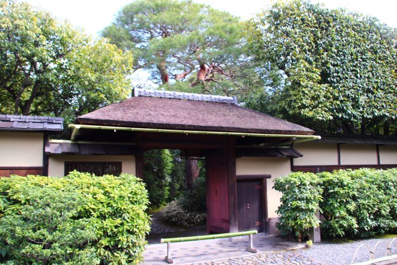 表・裏千家と本法寺_e0048413_18151692.jpg