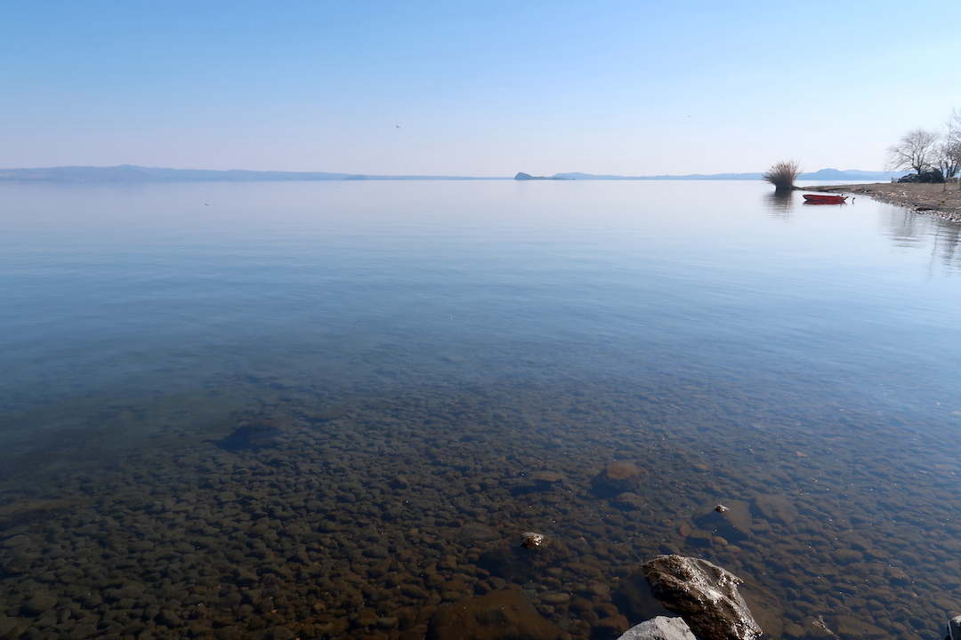 青いあおいボルセーナ湖畔歩けば春の足音_f0234936_22463634.jpg