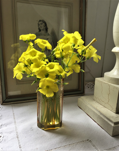 雨の日 野の花を摘みに行く Gyuのバルセロナ便り Letter From Barcelona