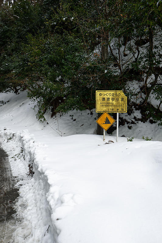 2022年滋賀県の雪景色@今津町 もみじ池_f0032011_19334803.jpg