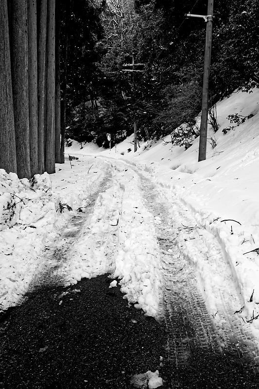 2022年滋賀県の雪景色@今津町 もみじ池_f0032011_19334893.jpg
