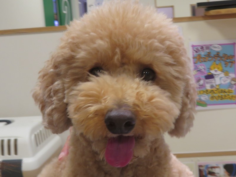 3 月 15 日の写真_c0174644_20463391.jpg