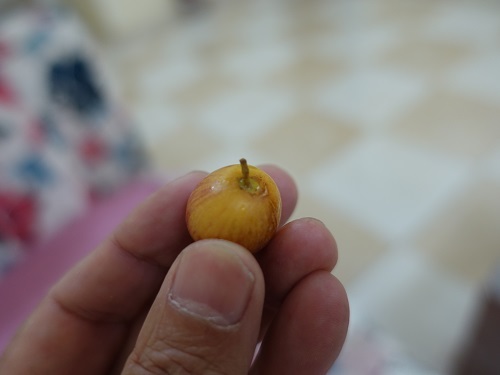 小さいリンゴのようでリンゴでない、この果物は何ですか 小さいリンゴのようでリンゴでない、この果物は何ですか