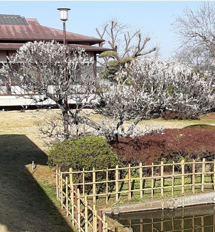 お弁当と夜の川豊別館_a0217348_21222656.jpg