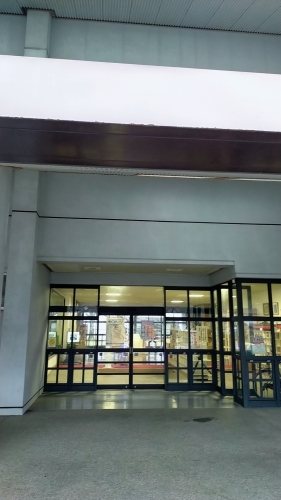 日本いけばな芸術展_d0195183_01250040.jpg