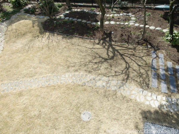 芝生・TM９の春のメンテナンス　エアレーションと土壌改良材の散布_c0293787_17504232.jpg