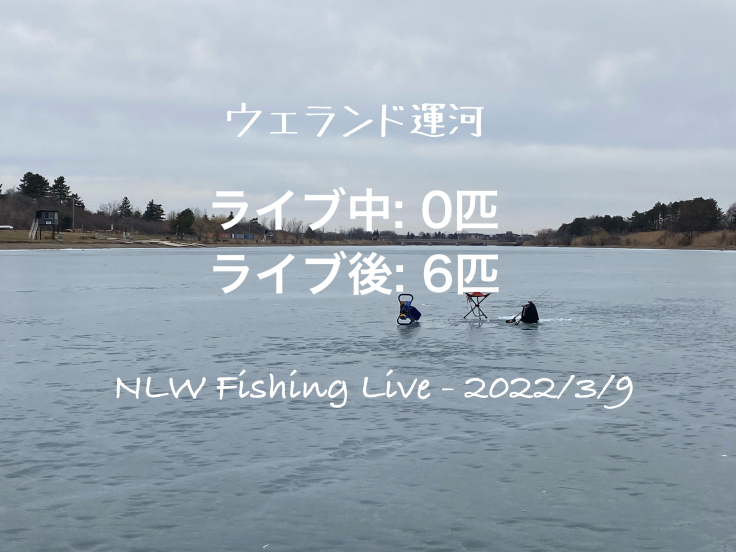 NLW Fishing Live - 2022/3/9 - ウェランド運河_d0145899_18114179.jpeg