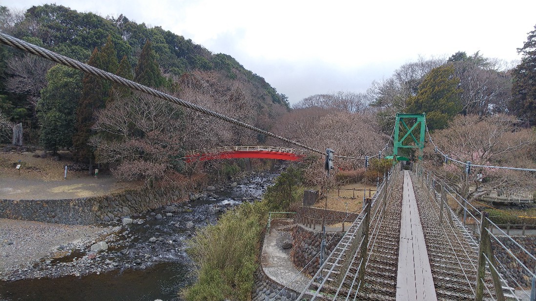 裾野市「裾野市中央公園」鎌倉殿の13人に出てきた黄瀬川　その２_c0404632_08195213.jpg