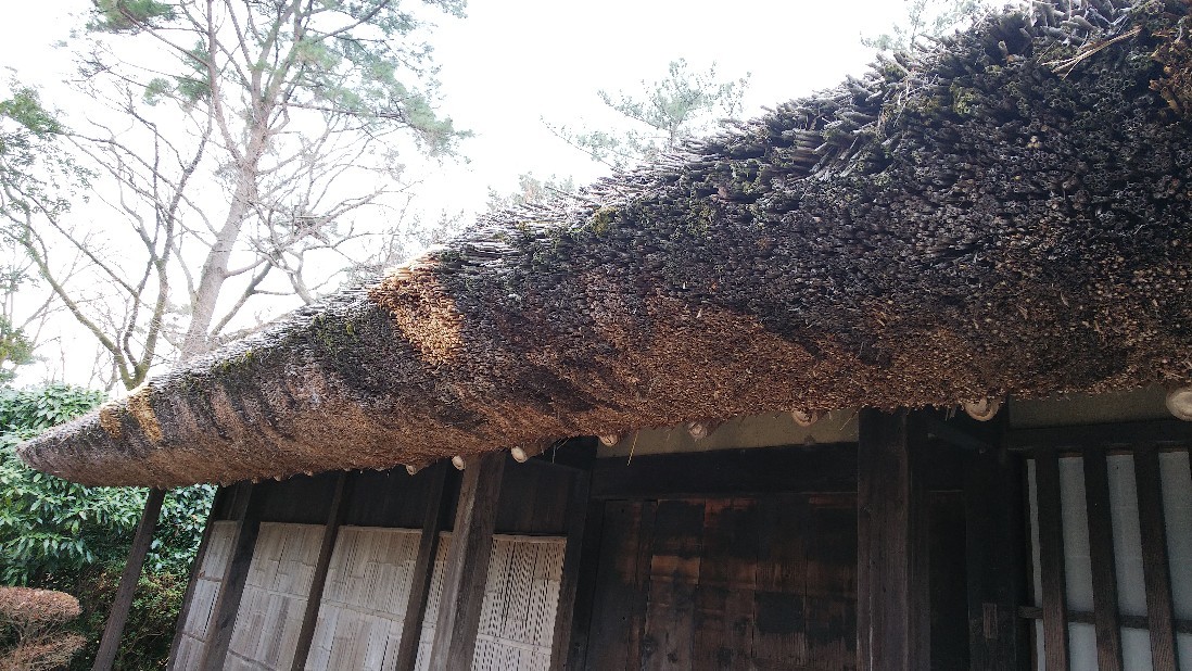 裾野市「裾野市中央公園」鎌倉殿の13人に出てきた黄瀬川　その２_c0404632_08203998.jpg