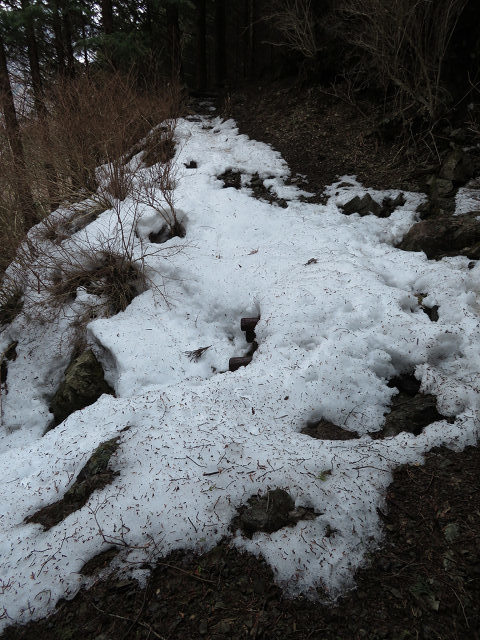 未踏ルートにツキノワグマの爪痕多数あり!! 【奈良県】3/12_d0387443_16142776.jpg