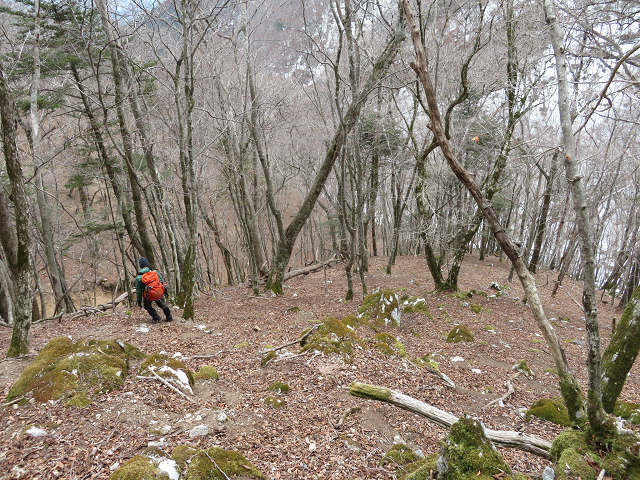未踏ルートにツキノワグマの爪痕多数あり!! 【奈良県】3/12_d0387443_16143966.jpg