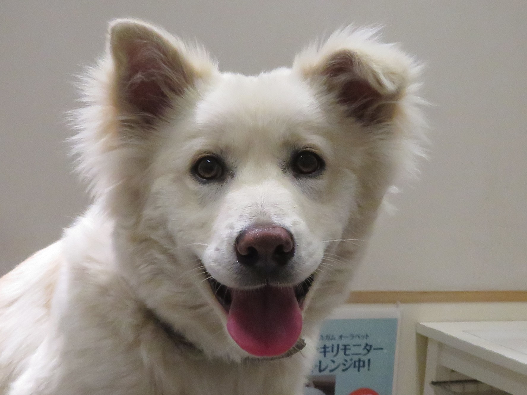 3月16日の写真_c0174644_11570510.jpg
