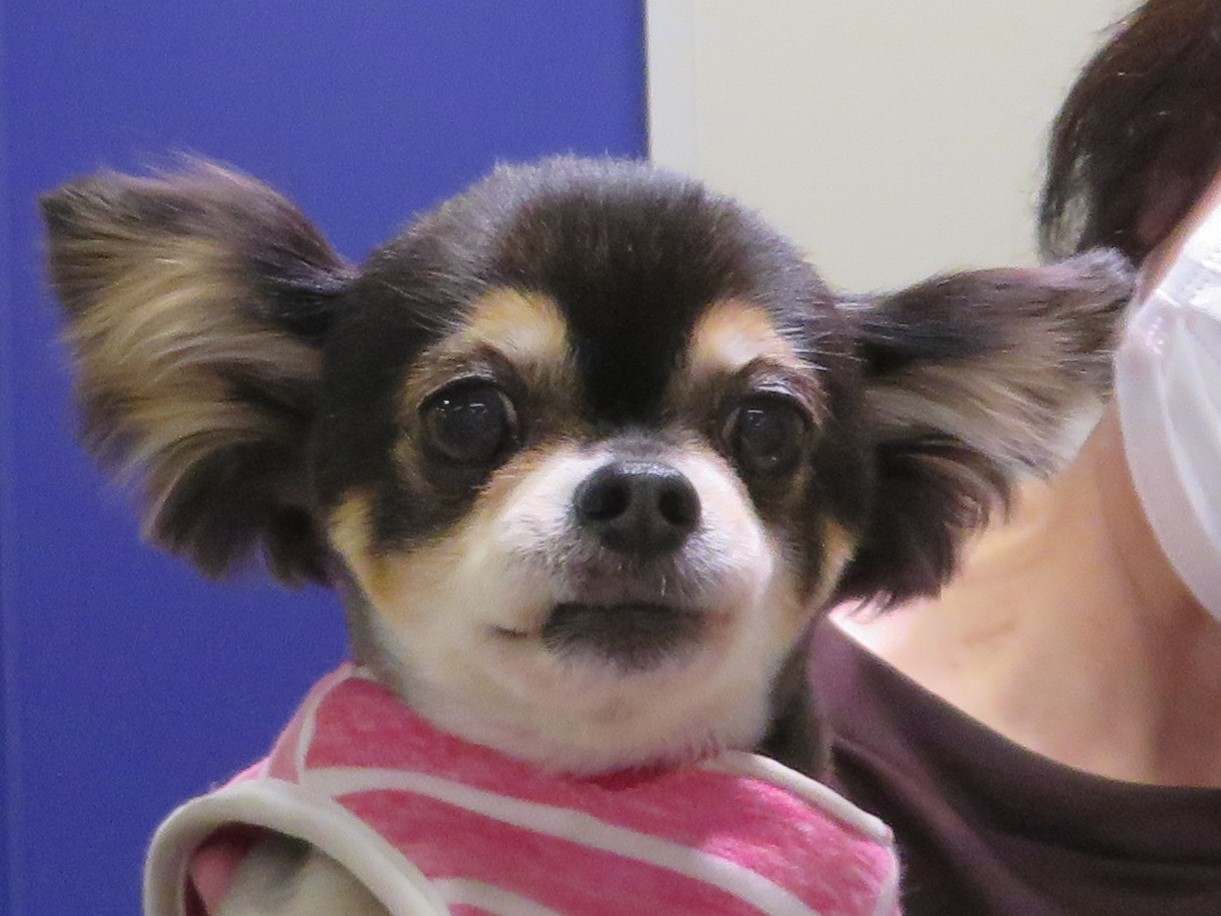 3月16日の写真_c0174644_11570537.jpg