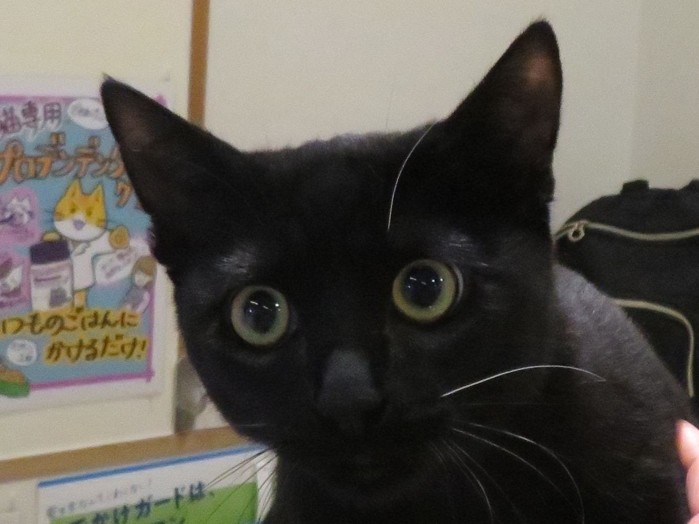 3月16日の写真_c0174644_11570674.jpg