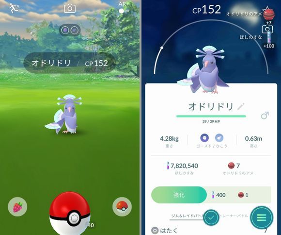 オドリドリ 無色日記