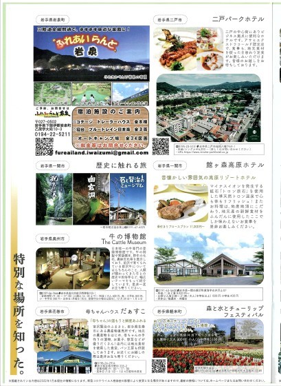 新トレーラーサイト!_b0219993_17181771.jpg