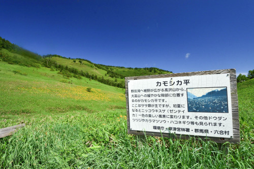 草原にひっそりと咲くキスゲを訪ねる～2018年7月 エビ山＋カモシカ平_d0372906_18544413.jpg