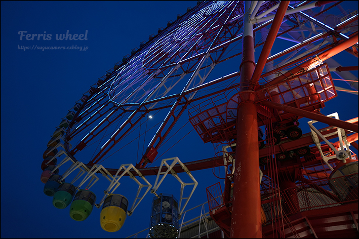 眠れぬ夜_f0100215_20424838.jpg