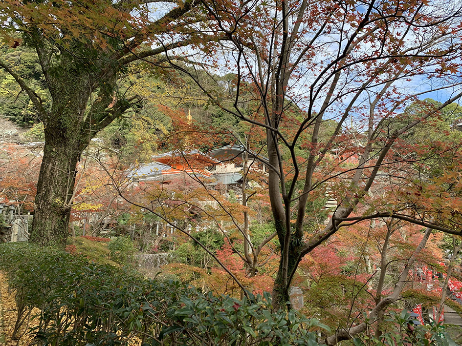 松永久秀終焉の地・信貴山城。 その1 <朝護孫子寺>_e0158128_18182961.jpg