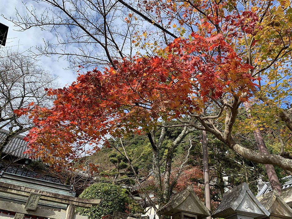 松永久秀終焉の地・信貴山城。 その1 <朝護孫子寺>_e0158128_18433759.jpg