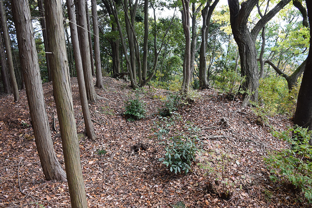 松永久秀終焉の地・信貴山城。 その2 <登山道~雌嶽>_e0158128_21354288.jpg
