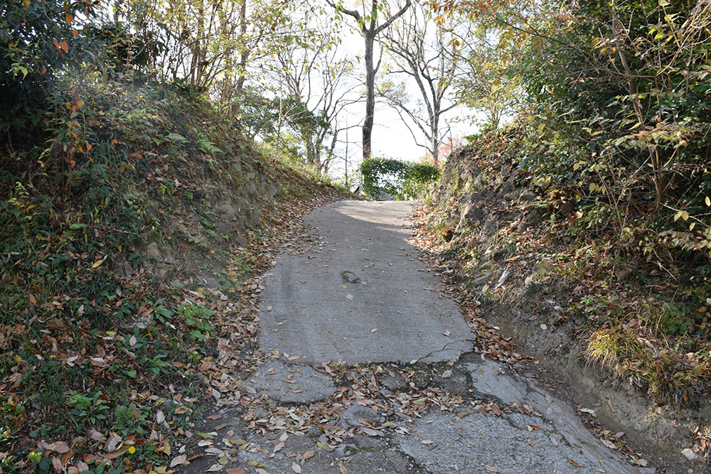 松永久秀終焉の地・信貴山城。 その3 <主郭>_e0158128_21574152.jpg