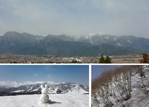 春近し?_a0212730_00213442.jpg