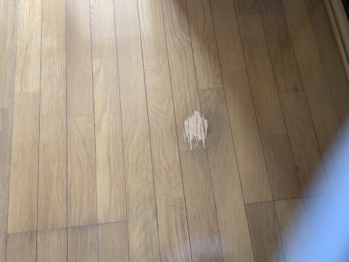賃貸2世帯×4日 ミッション終了_f0031037_20372931.jpg